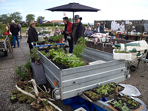 Kræmmermarked 2015