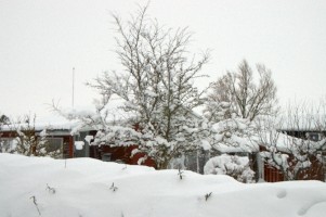Vinter