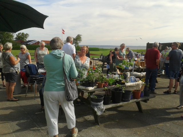 Kræmmermarked maj 2017