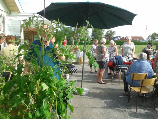 Kræmmermarked maj 2017