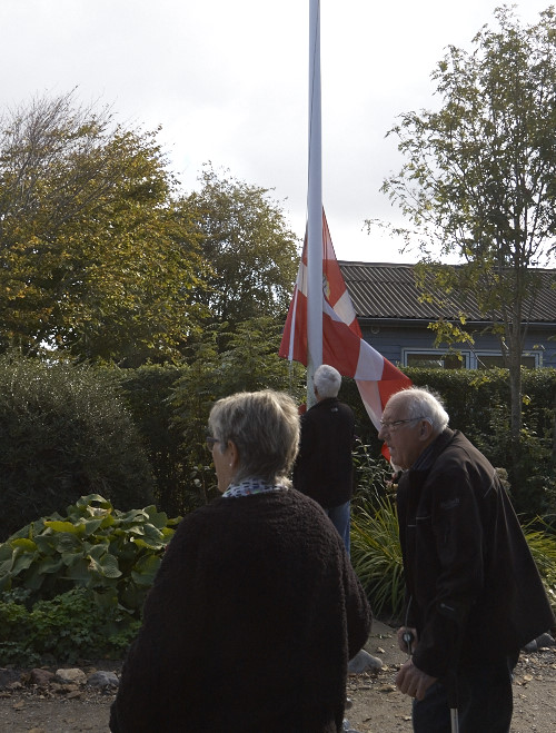 Standerstrygning 2015