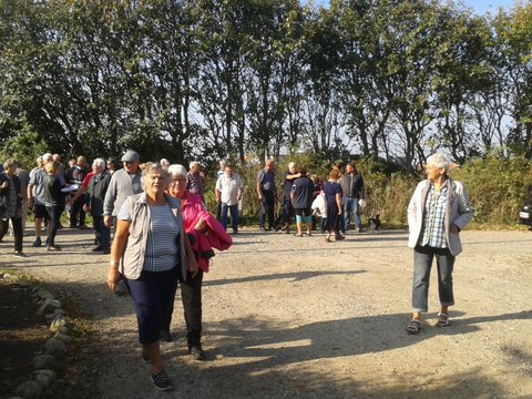 Standerstrygning 2016