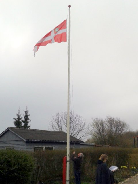 Standerhejsning 2017