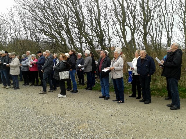 Standerhejsning 2017