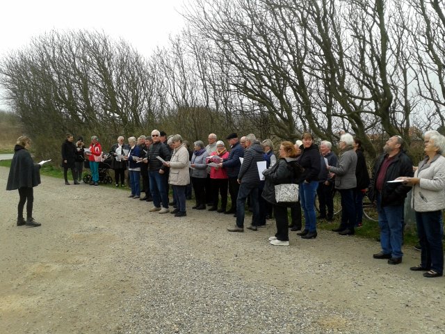 Standerhejsning 2017