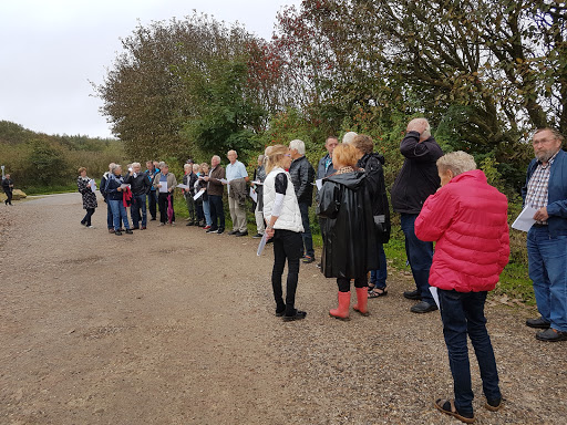 standerstrygning 2017