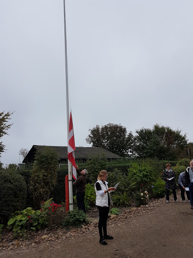 standerstrygning 2017